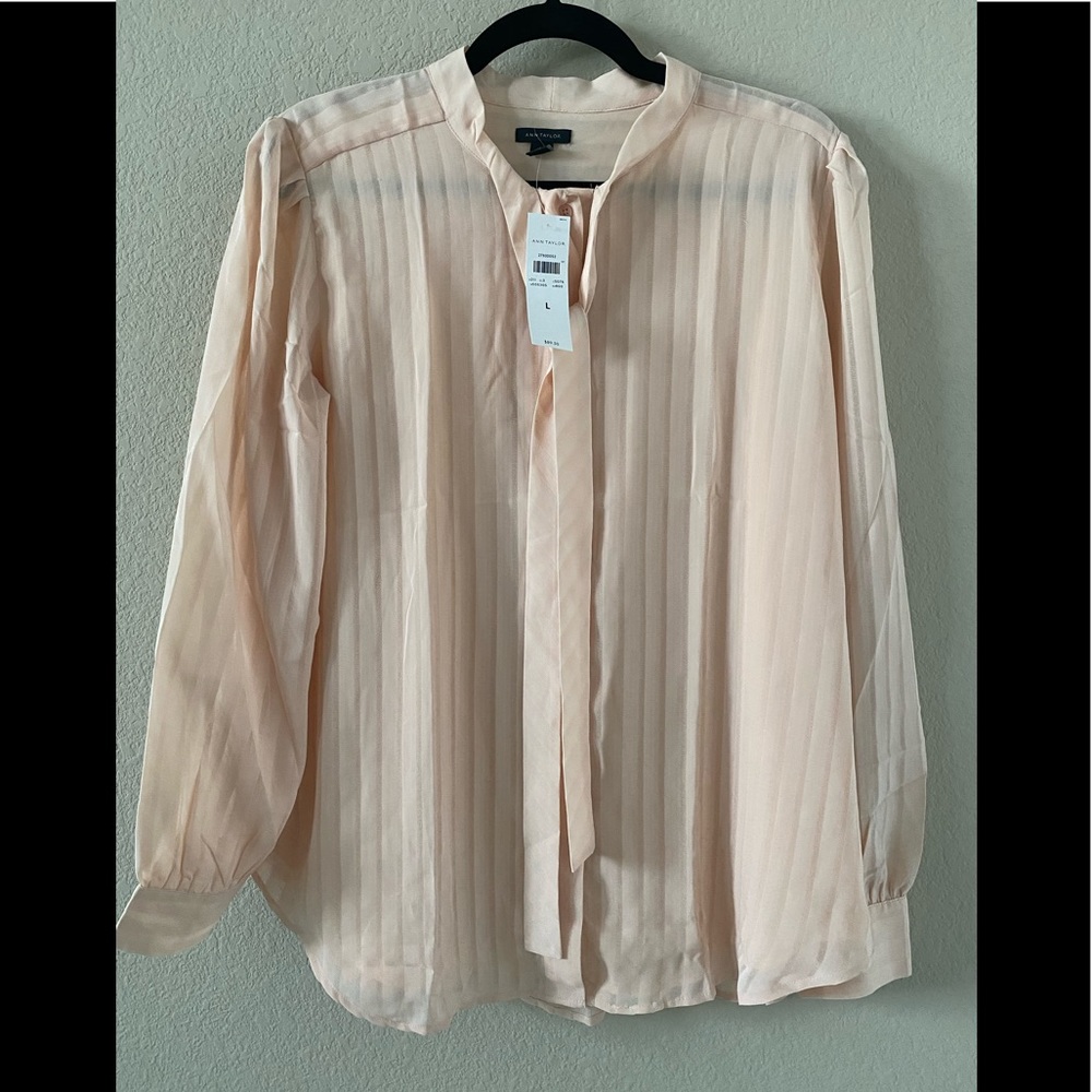 Ann Taylor pink sheer blouse